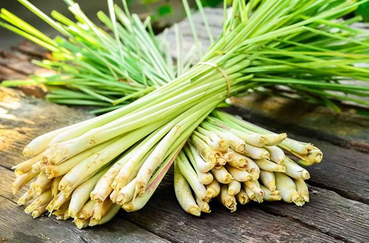 Лемонграсс